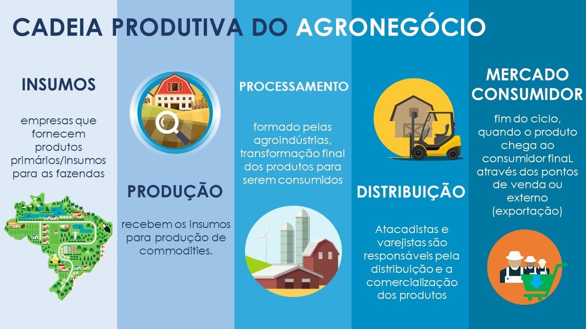 Agronegócio: Tudo Sobre o Pilar da Economia