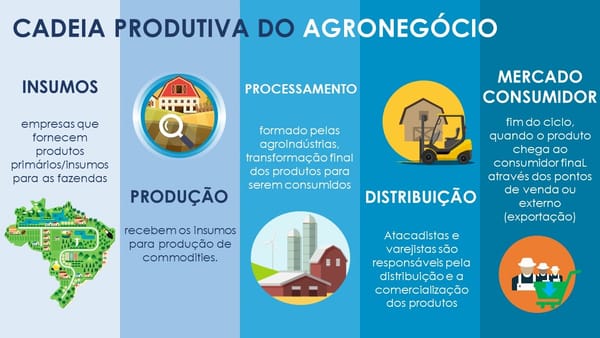 Agronegócio: Tudo Sobre o Pilar da Economia