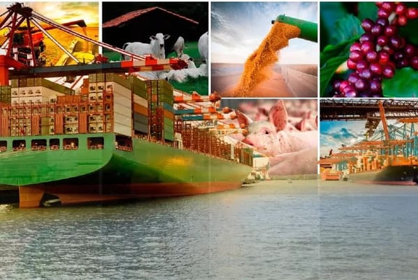 Exportações do Agro Superam Média Histórica